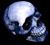 Stratus Skull