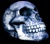 Luna Skull