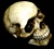 Shimmer Skull