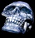 Brooklyn Skull