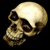 Goldilocks Skull