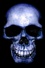 Skye Skull