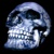 Ordinal Skull